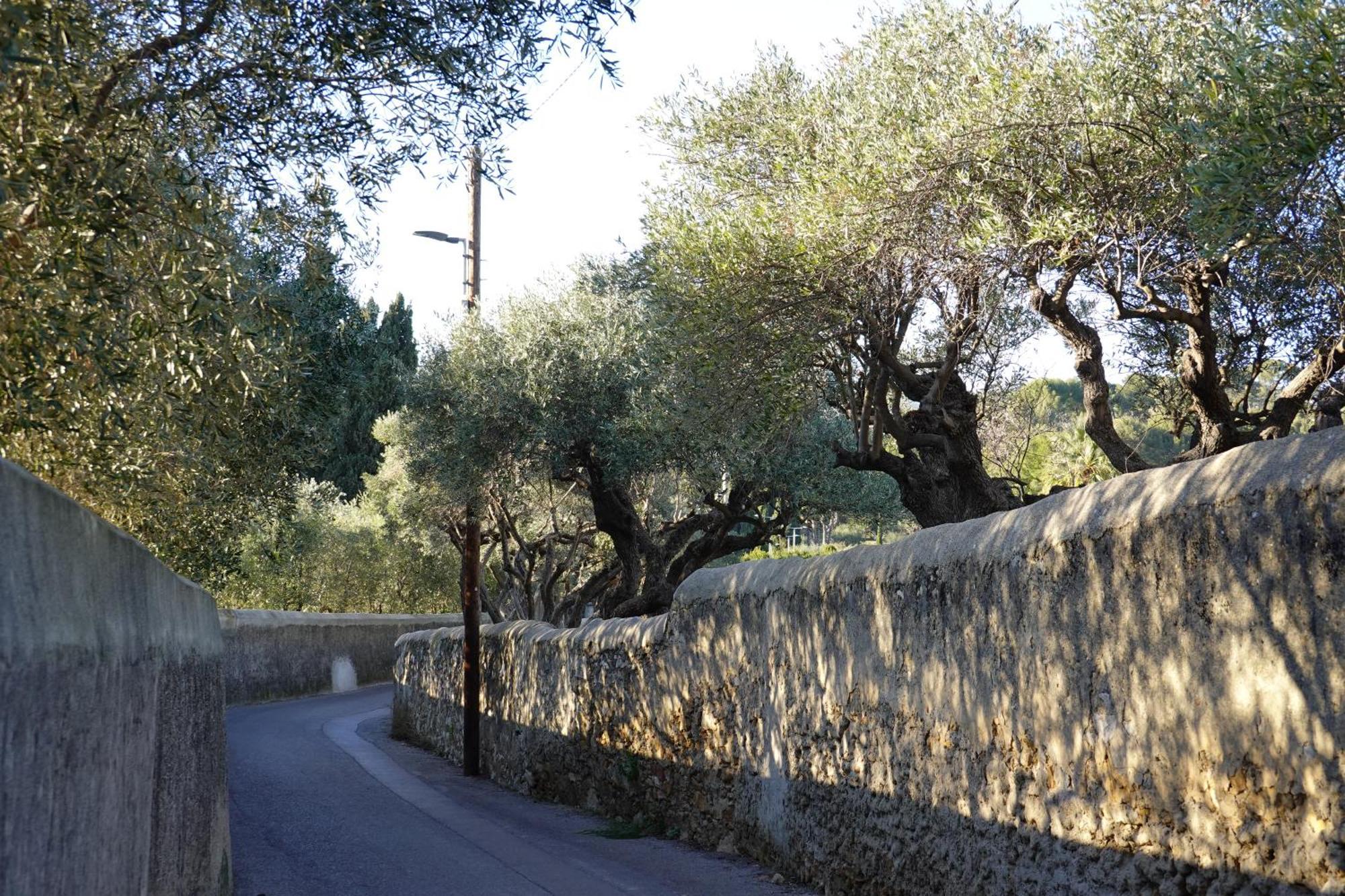 Picouveau Cassis Exterior foto